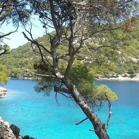 Livia * Lastovo