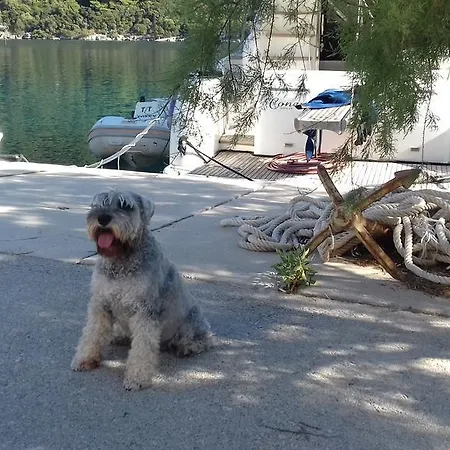 Livia Apartamento Lastovo