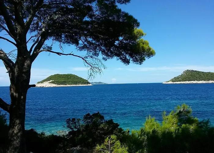 公寓 Livia Lastovo