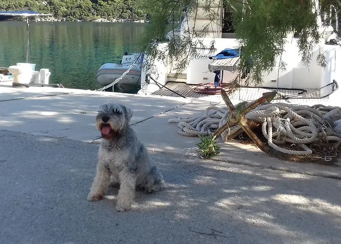 Livia 公寓 Lastovo